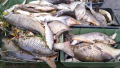 Kvůli suchu platí zákaz odběru vody až do konce října