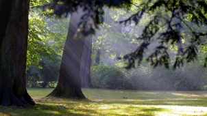 Neděle v kraji bude polojasná a studená