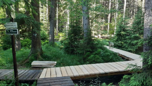 V Rejvízu se projdete po opravených chodnících