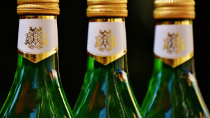 Strážníci chytili zloděje počtyřicáté za posledních pět let