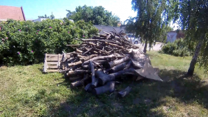Muž zapomněl odvést dřevo z městského pozemku