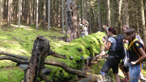 Soutěž Zelená škola zná vítěze, uspělo i hejčínské gymnázium