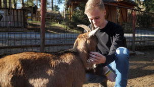 Olomouckou zoo loni navštívilo nejvíce návštěvníků za deset let
