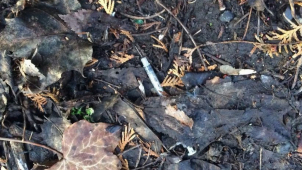 Strážníci měli v týdnu plné ruce práce s infekčními stříkačkami