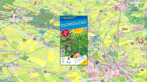 Děti se pustily do malování cyklomapy Olomoucka