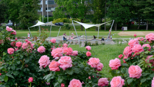 Olomoucký kraj turisty láká. Skokanem roku je botanická zahrada