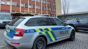 Za neoprávněný chov kočky hrozí muži až dva roky