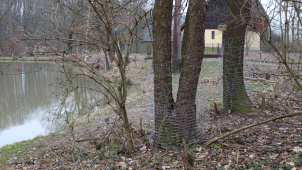 Bobři se z Přerova nestěhují. Vyhráli spor na kraji