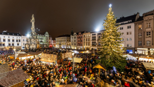 Co je úplně nejlepší na olomouckých vánočních trzích?