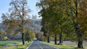 Poutní cesta na Svatý Kopeček soutěží o titul Alej roku 2024