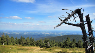 Injekce turistickému ruchu v Jeseníkách, díl druhý