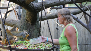 Práce se zvířaty je každý den jiná, říká Hana Dostálová