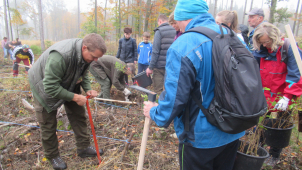 Víte, jak správně sázet stromečky?