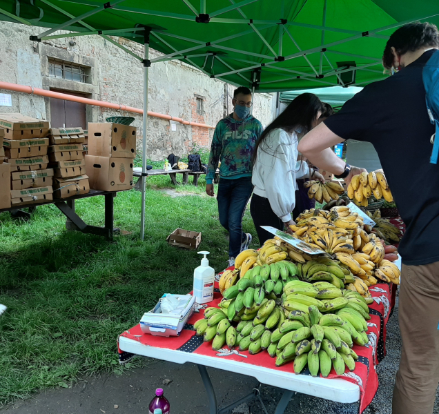 Africké trhy voní v areálu olomouckého letního kina