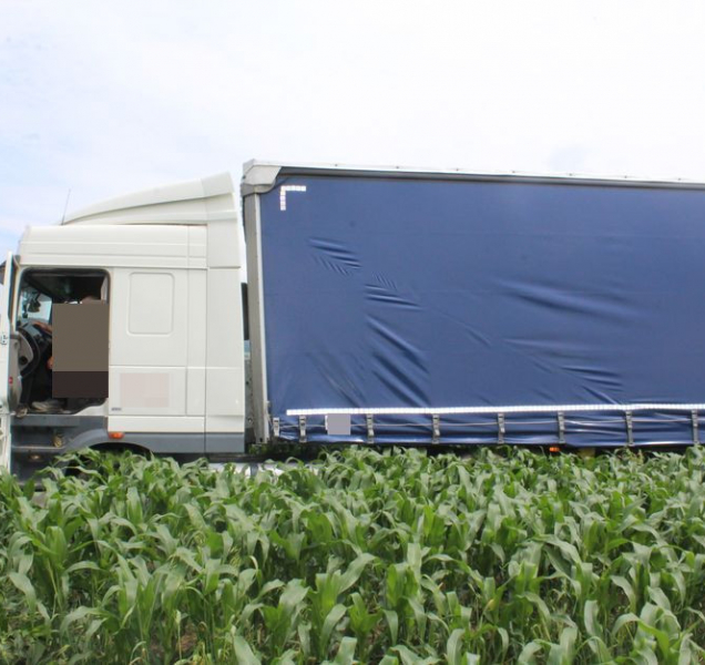 Řidič kamionu si u Bělkovic udělal výlet mezi kukuřici