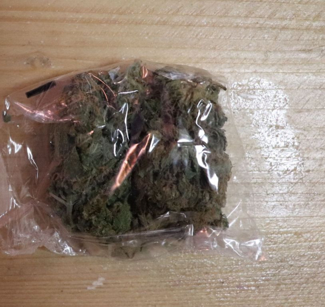 Olomoucký TOXI tým dopadl dva dealery drog