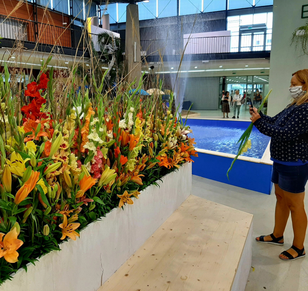 Letní Flora Olomouc připomene léčivou moc přírody