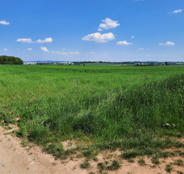 ŘSD začalo vykupovat pozemky pro dokončení obchvatu Olomouce