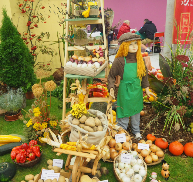 Podzimní Flora dnes odstartovala! Jak to na ní vypadá?