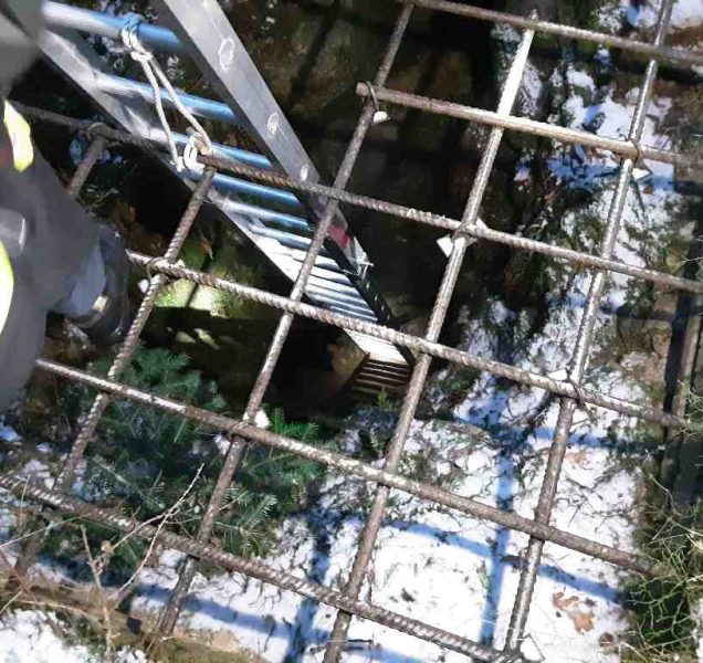 Pes si přivolal pomoc štěkotem. Zachránili ho hasiči