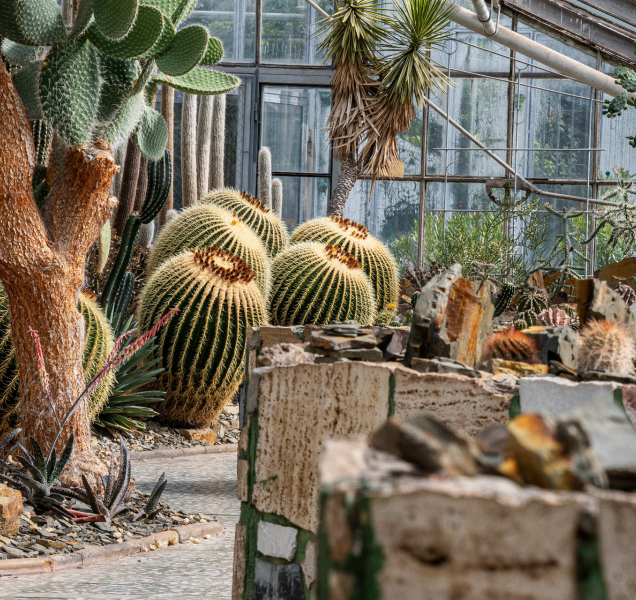Sbírkové skleníky ve Smetanových sadech se znovu otevřou