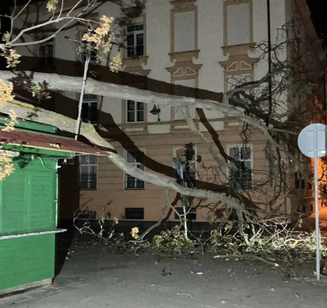 Na stánek u tržnice spadl strom! Radnice radši vykácí i okolní dřeviny