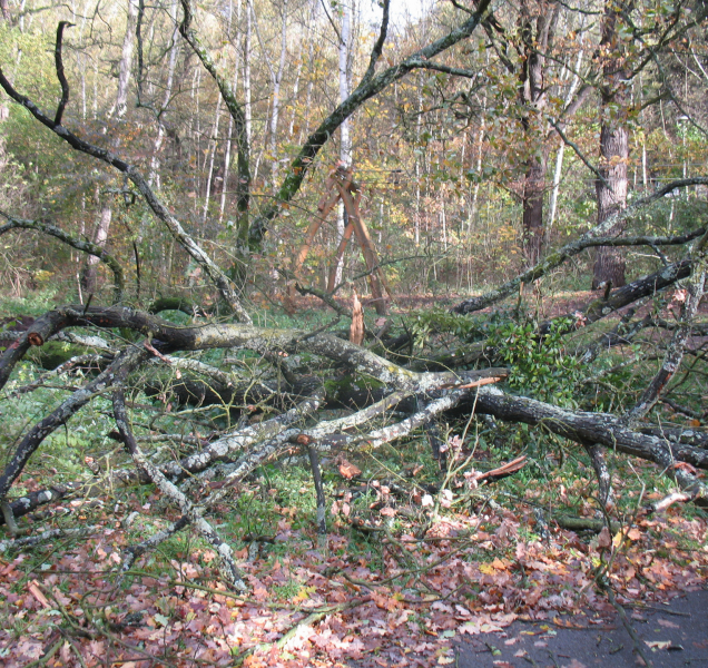 Spousta práce s odklízením následků pondělní bouře