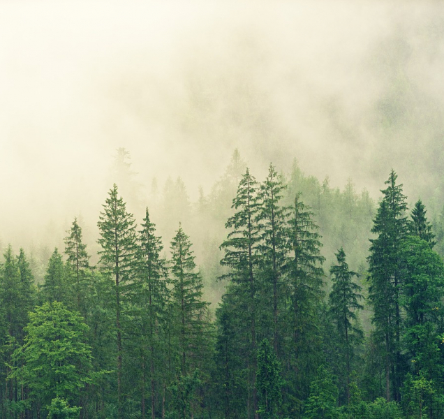 Neděle přinese mlhy, déšť i nízké teploty