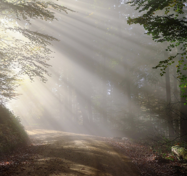 Během soboty bude teplota mezi deseti až dvanácti stupni