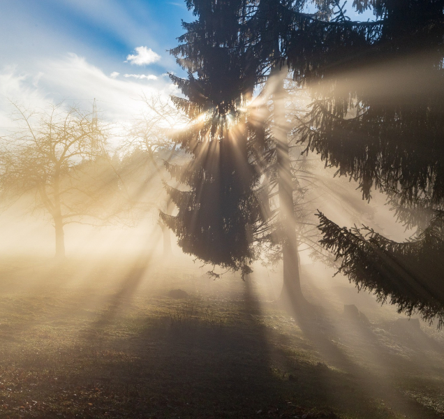 Začátek týdne v kraji poznamenají mrznoucí mlhy