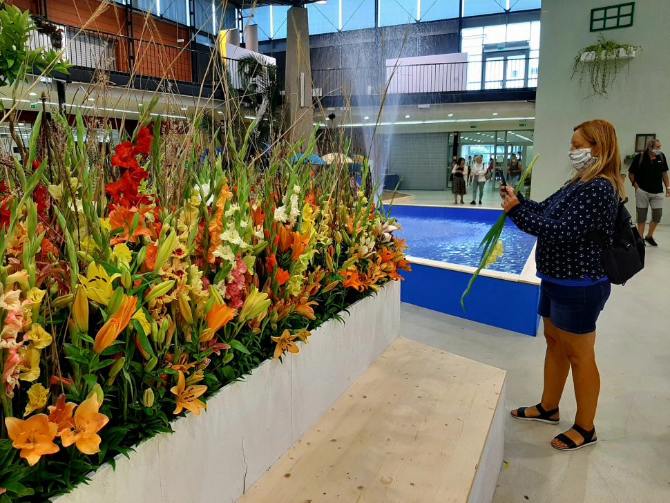 Letní Flora Olomouc připomene léčivou moc přírody