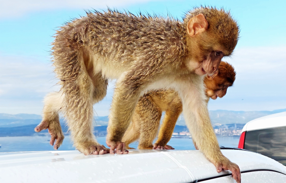 Fotbalová výprava do malé Británie na jihu Španělska