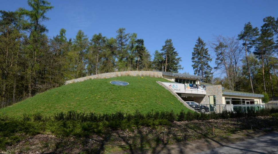 Olomoucká zoo chce vrátit stromy do svého areálu